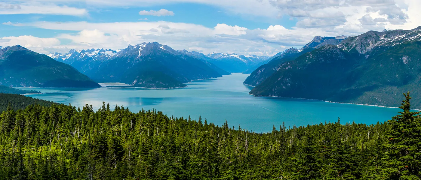 Panorama naturel avec vue sur lac, montagnes et forêt