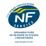 logo NF Service
